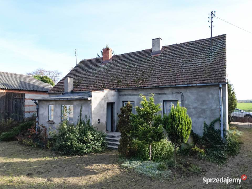 Piękne siedlisko budynki gospodarcze Biskupie cegła wielkopolskie