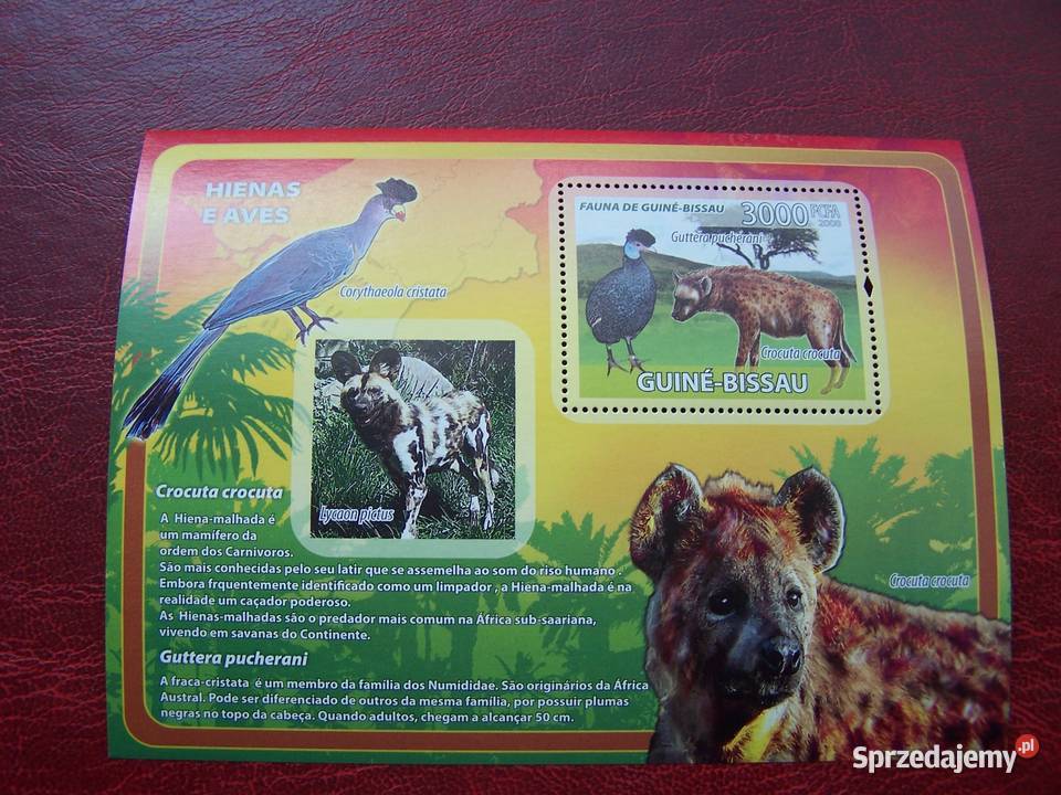 Gwinea Bissau 2008 MNH Fauna Hieny Ptaki łowne Tychy