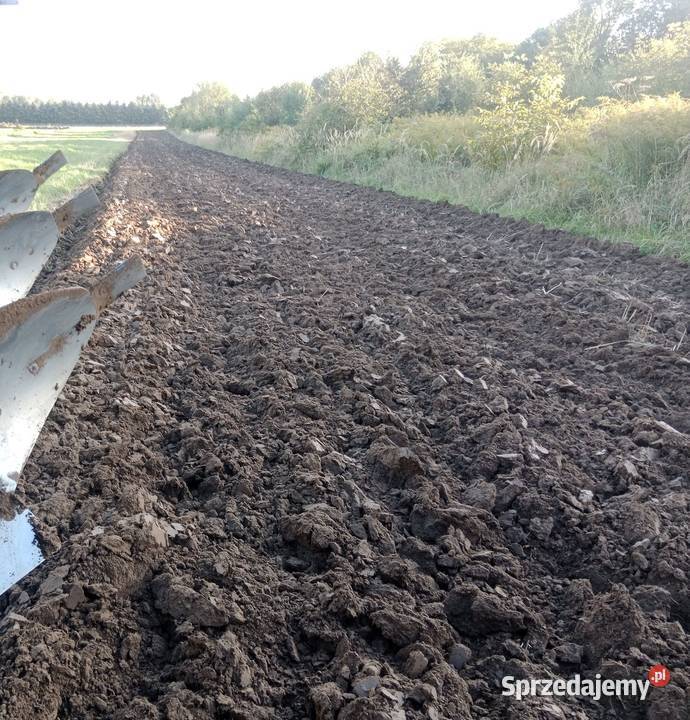 Pług 3 skibowy obrotowy Giebułtów