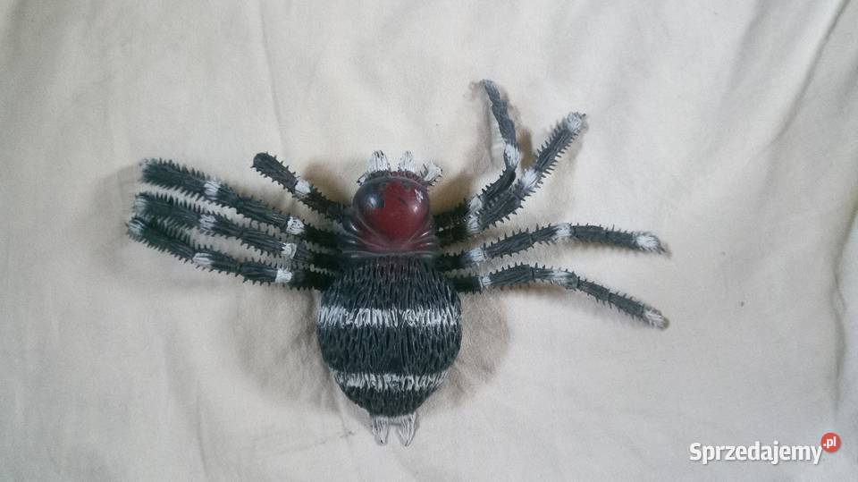 Pająk sztuczny maskotka mazowieckie Warszawa