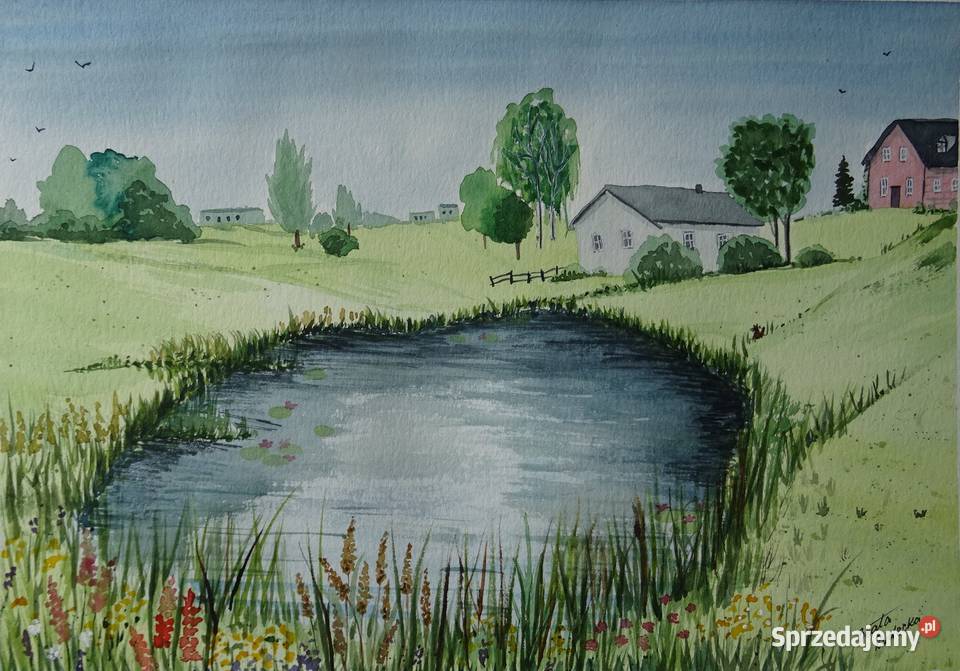 Akwarela Akwarelka Obraz pt Lato w Filipowie Aleksandrów Łódzki