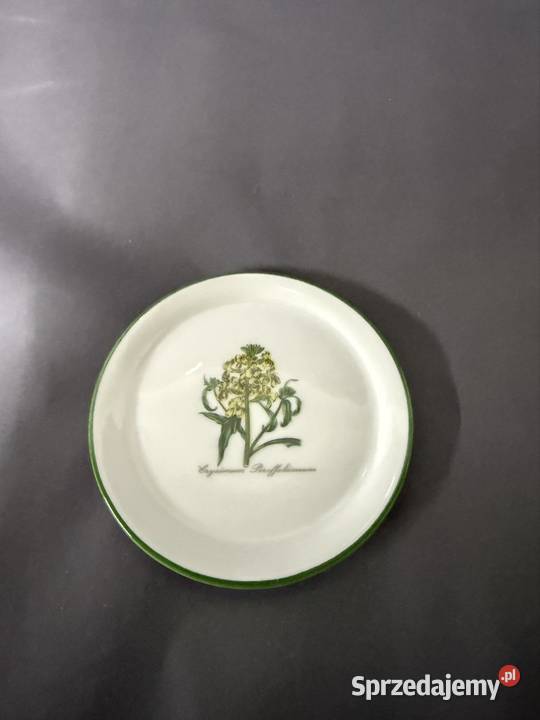 Talerzyki botaniczne