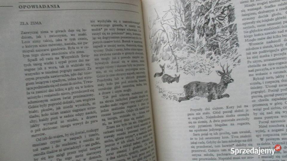 Głos przyrody przyroda edukacja Janczarski Łódź