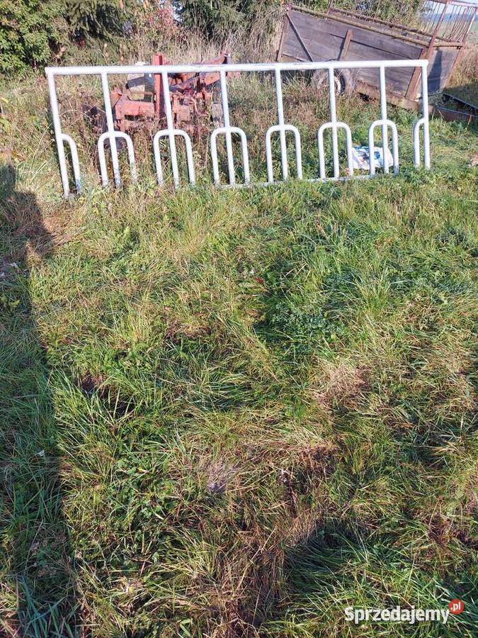 Wynagrodzenia bydla pomorskie