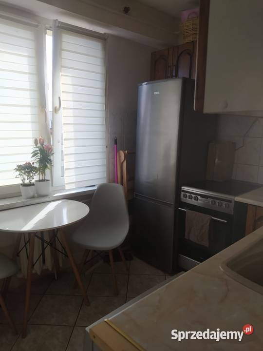 Mieszkanie na sprzedaż Rok budowy 509567690 Brodnica sprzedam
