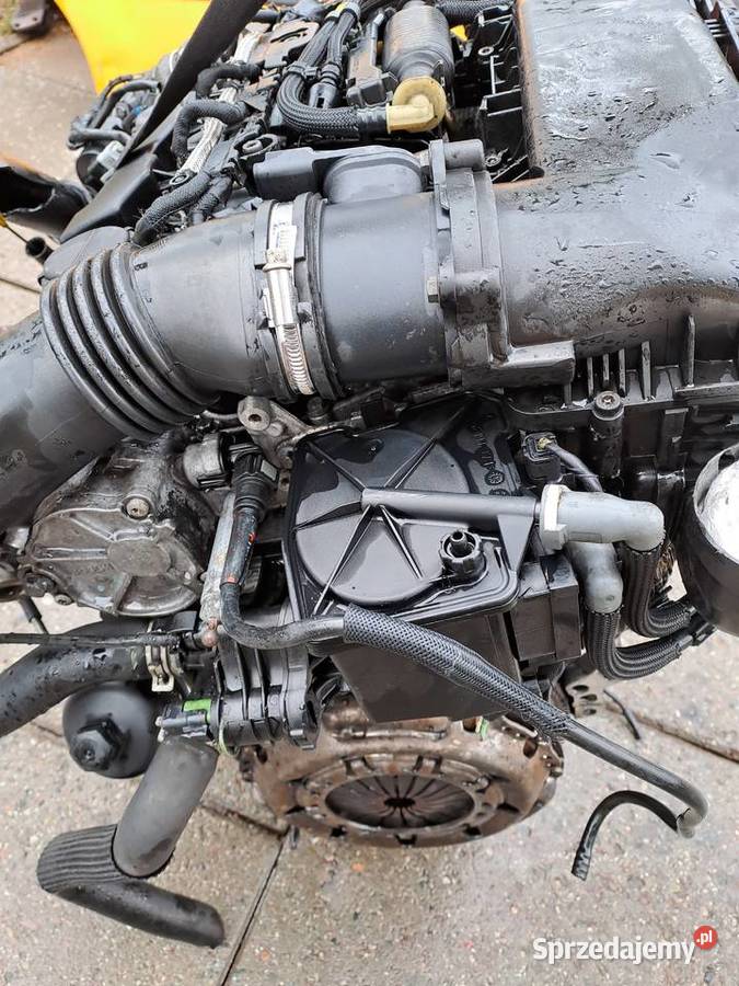 Citroen Peugeot 16HDi silnik kompletny kod 9HX Rok produkcji 2008 sprzedam