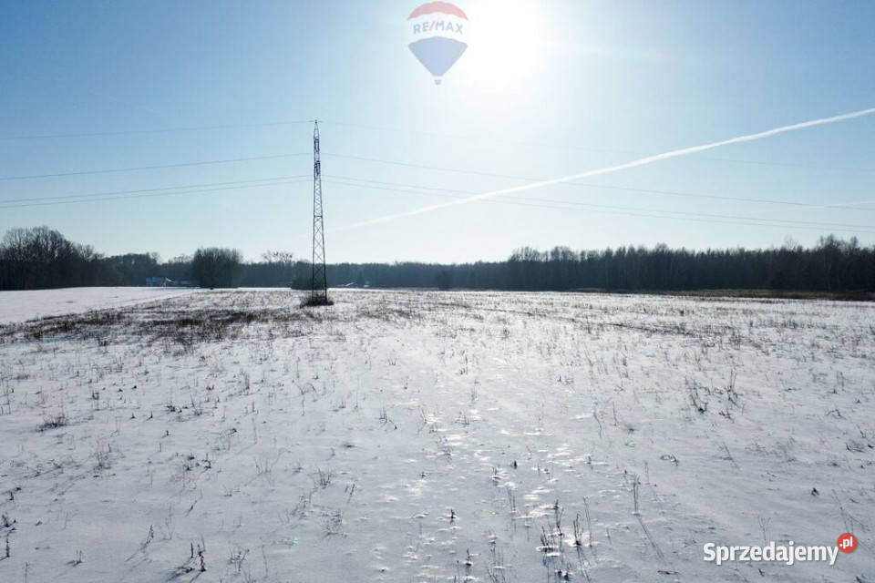 Grunt inwestycyjny 234 ha 3 S8 Grzmiąca 66m sprzedam