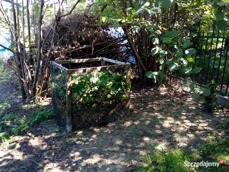 Działka ROD na tyłach Wola Parku