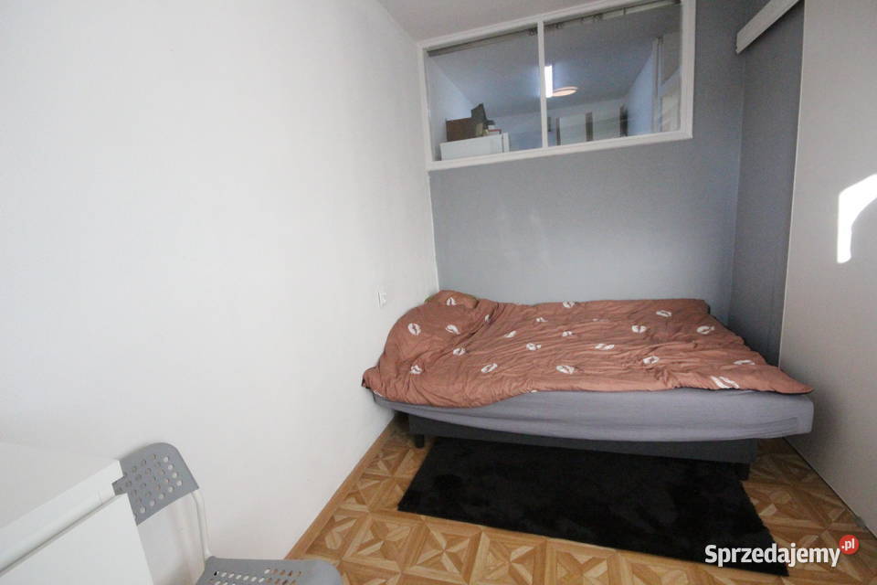 2pok 39met Ogrodu Botaniczego PIWNICAWINDA Wrocław