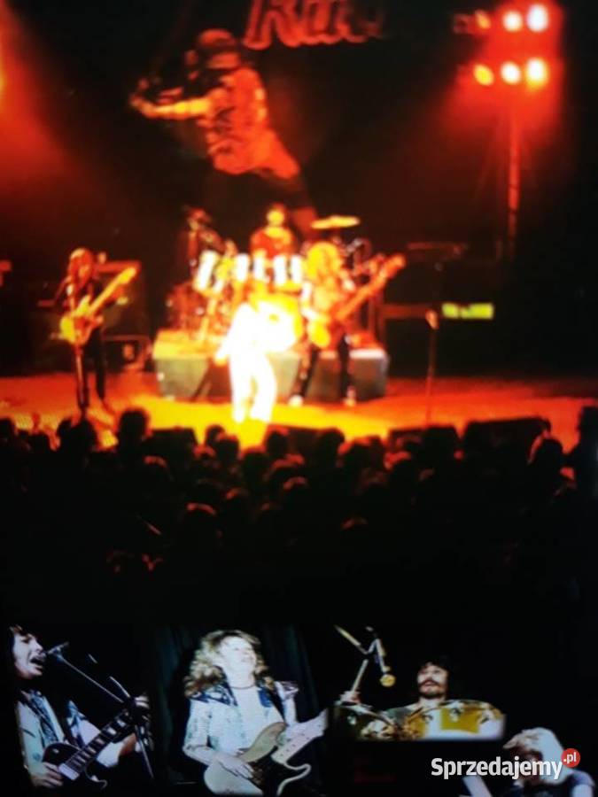 Niezapomniane koncerty BABE RUTH Live in Płyty i kasety podkarpackie Rzeszów