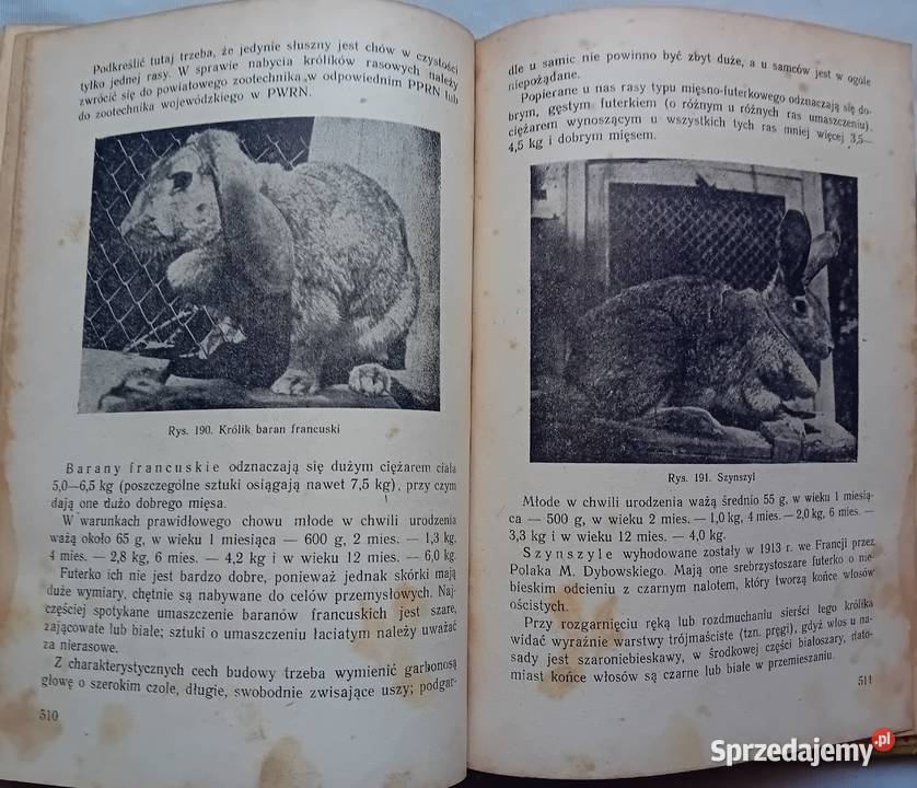 Przewodnik działkowca PWRiL 1954 r Wydanie I Koźminek sprzedam