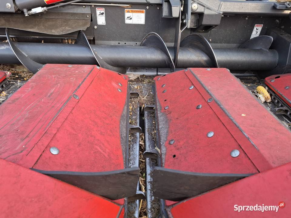 Przystawka do kukurydz Olimac Drago 2 Jastrzębie-Zdrój