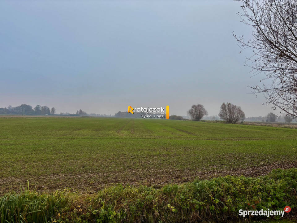 Grunt Drewnica Wierzbowa 3012m2