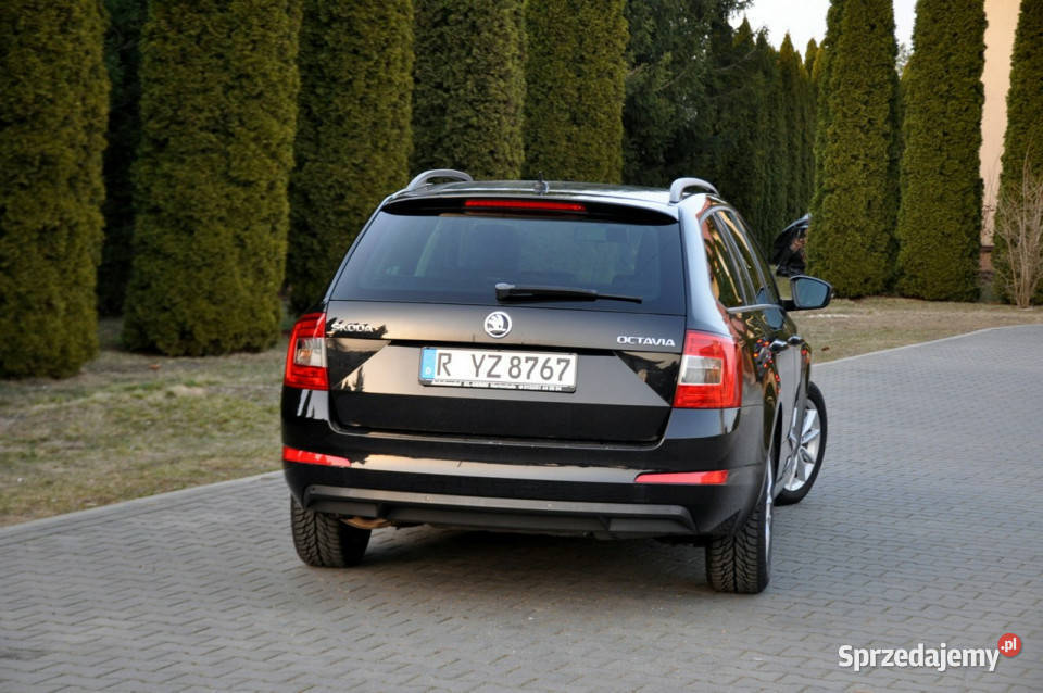 koda Octavia 20TDI150Radar Ostrów Mazowiecka