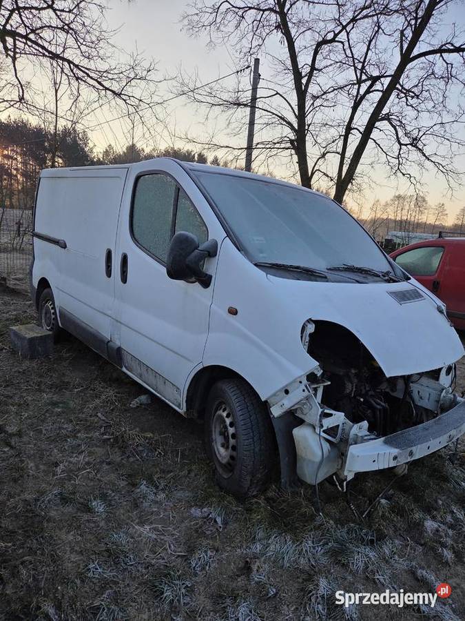 Opel vivaro 19 wielkopolskie Pyzdry