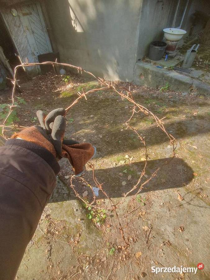 Drut kolczasty na stare ogrodzenie Warszawa
