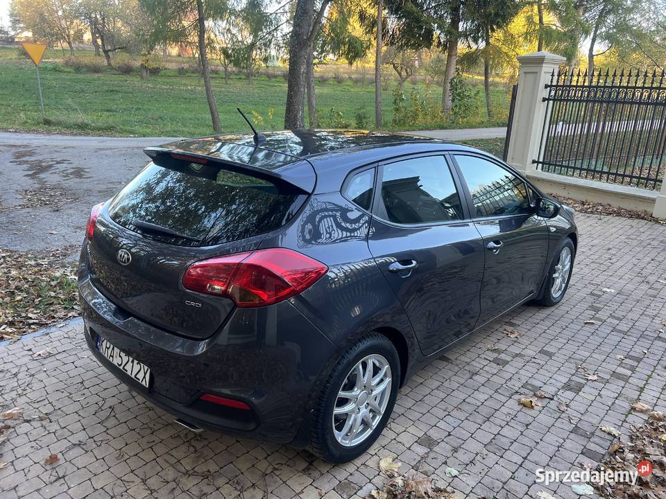 Kia Ceed 16 CRDI 128 Hatchback Salon Polska Nowa Słupia