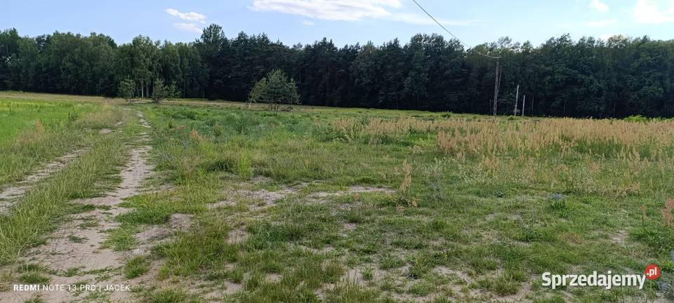 Działki budowlane Borowie Sprzedaż mazowieckie
