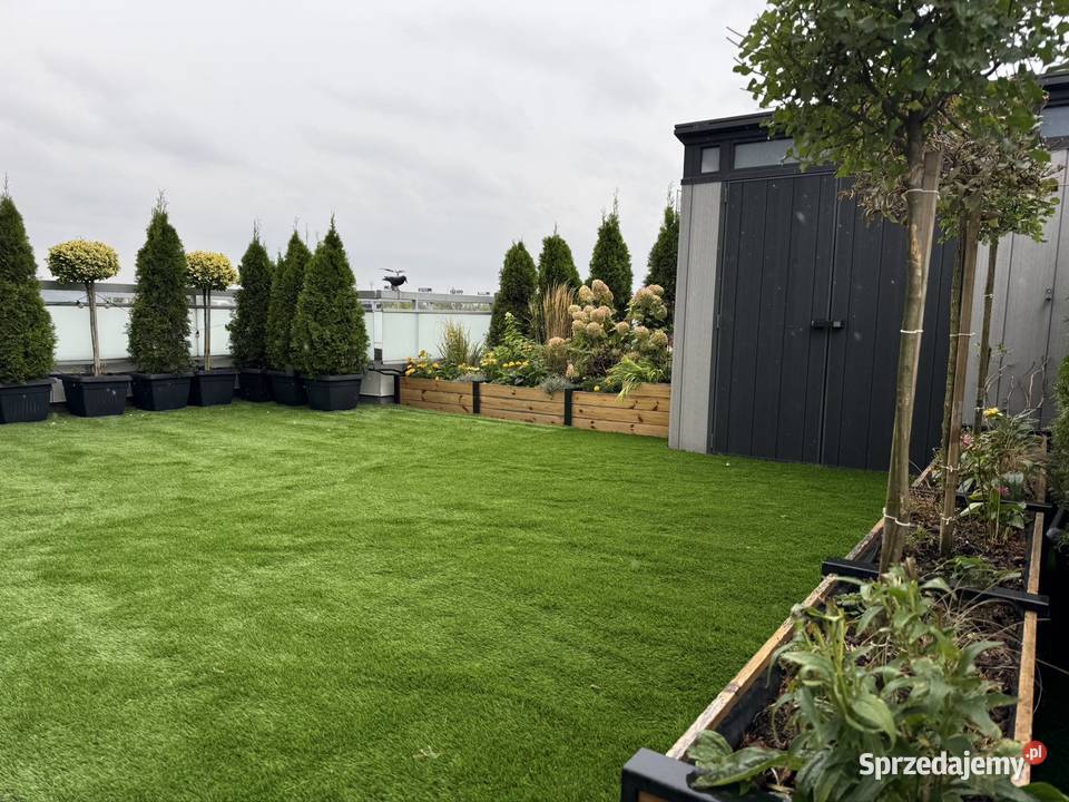 Trawa ogród piękny trawnik sztuczna trawa dolnośląskie Wrocław