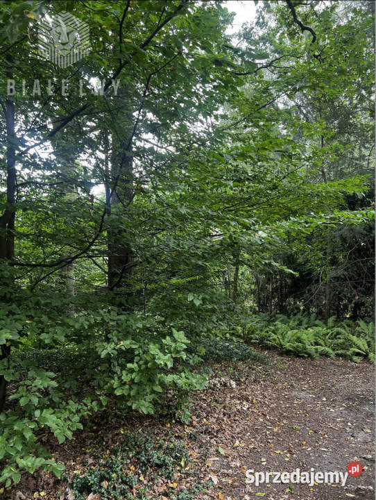 Sprzedaż działki 1150m2 Magdalenka