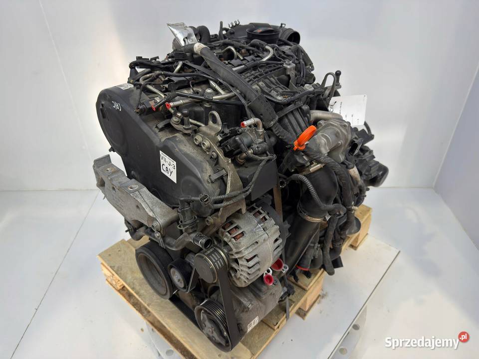 SILNIK CAY CAYC VW Beetle Jetta III Audi A1 8X osobowe Silniki kompletne lubelskie Chełm
