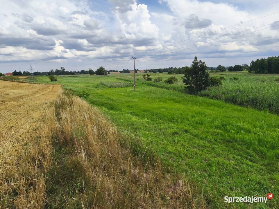Siedlisko 225 ha dom 150m ROZTOCZE ZACHODNIE mieszkalny Czernięcin Poduchowny
