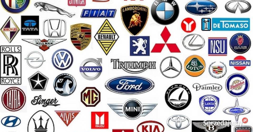 Automedyk firma DPF FAPEGR Adblue współpraca