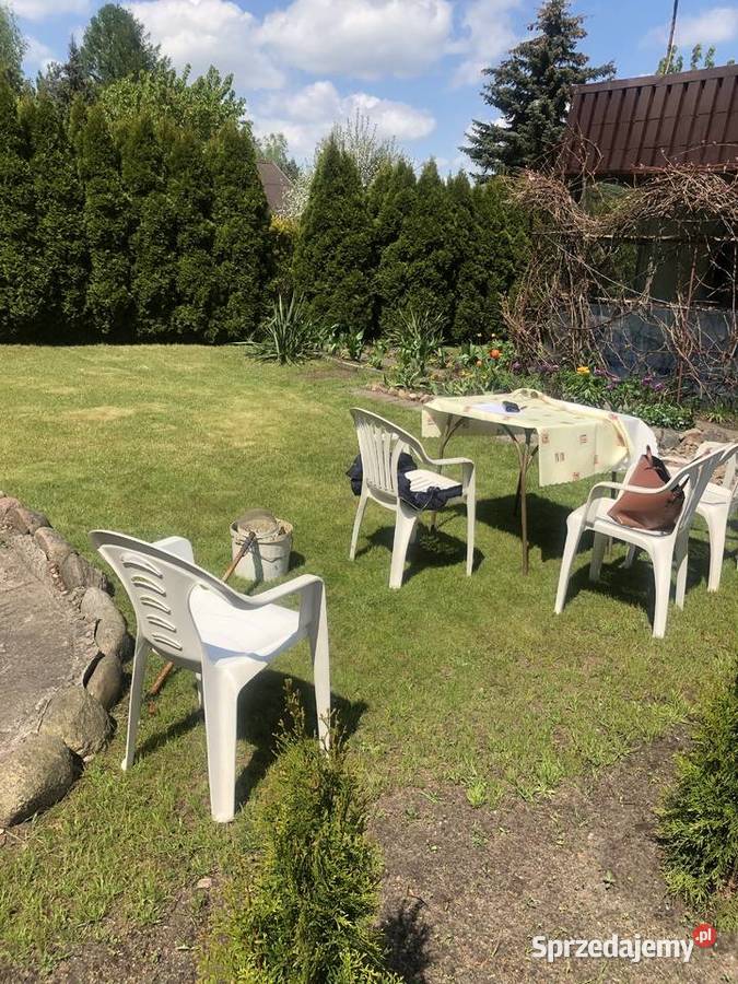 BEZPOŚREDNIO SPRZEDAM DZIAŁKĘ W ROD SŁOWIK Sprzedaż łódzkie Słowik