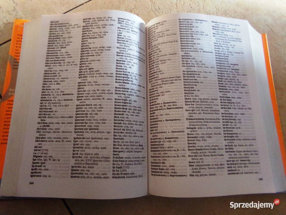Nowy słownik ortograficzny PWN Pozostałe Ełk sprzedam