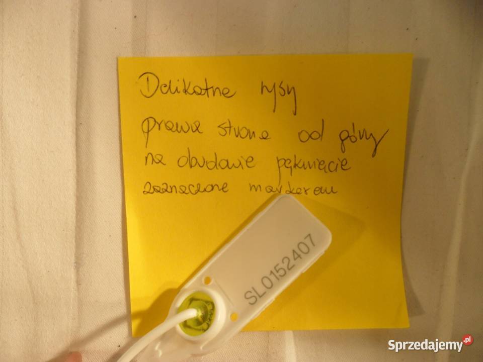 LAMPA PRAWY PRZÓD EU 5F1941006B SEAT LEON III 3 wielkopolskie Nowy Tomyśl