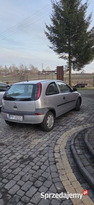 Tani opelek 2004 Starogard Gdański