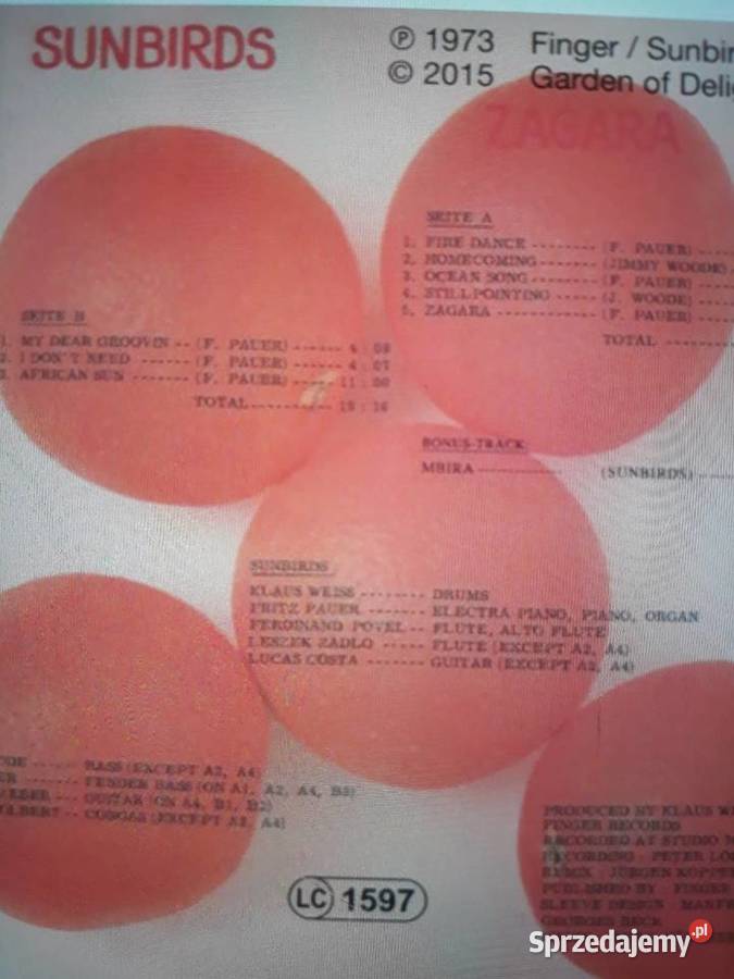 Archiwum jazz rocka SUNBIRDS Zagara 1973 podkarpackie Rzeszów