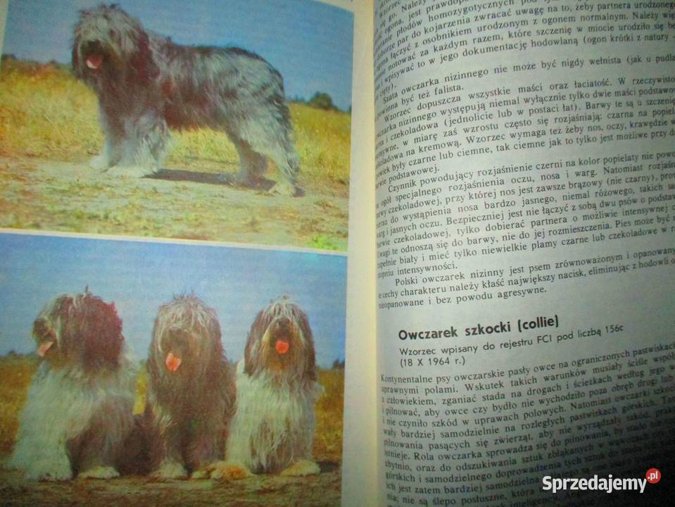 psy konie ptaki ryby rasy hodowla Łódź