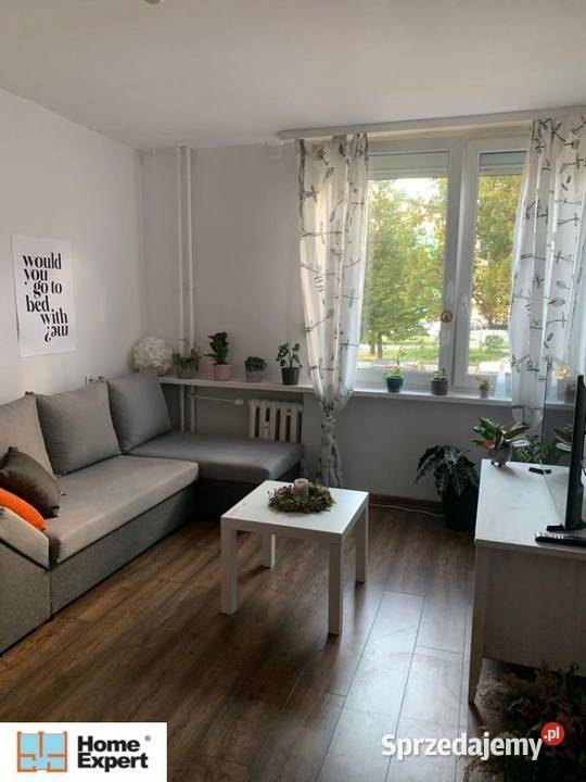 3pok 48met Lubuskiej PIWNICAWINDA Wrocław