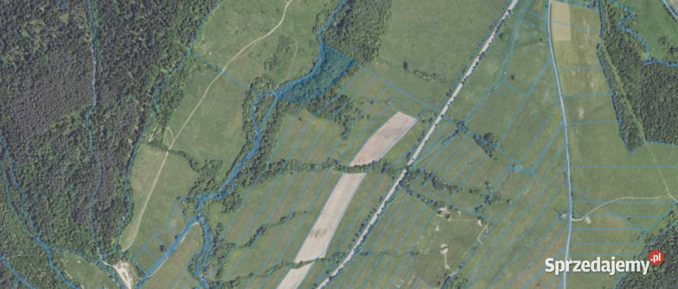 sprzedaży gruntu 587000m2 Daliowa sprzedam
