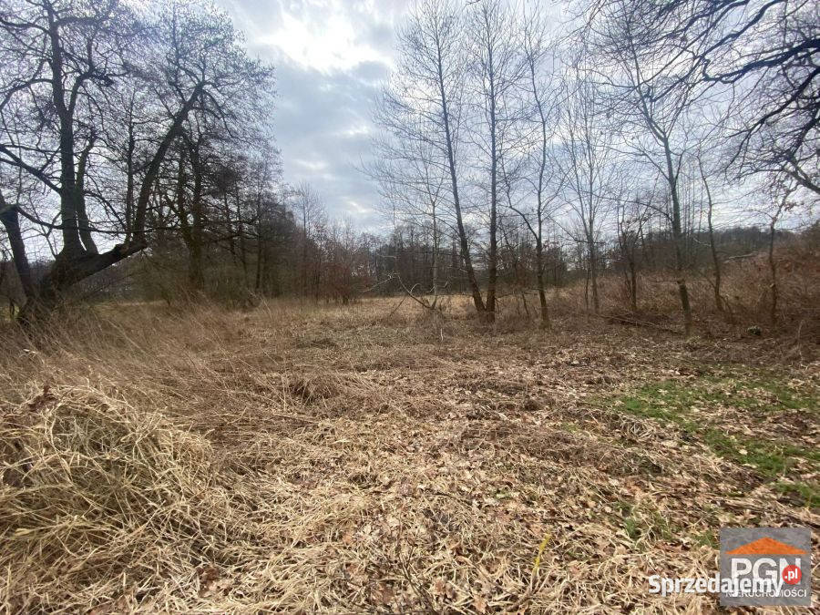 Grunt Gryfice 7400m2 zachodniopomorskie sprzedam