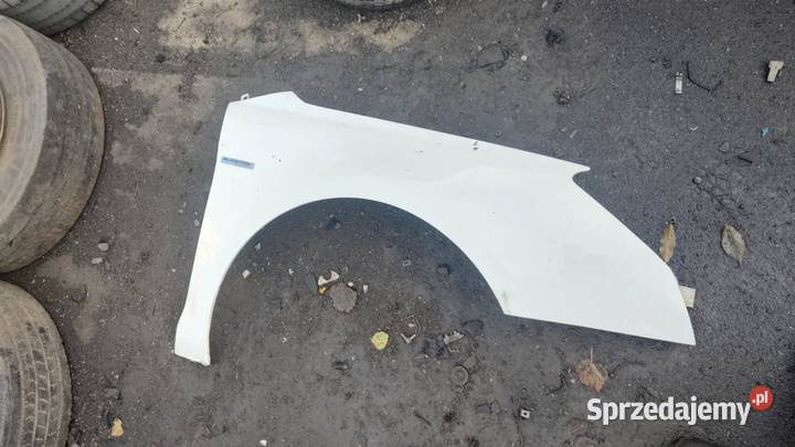 Błotnik lewy prawy Citroen c5 III x7 EWPB osobowe