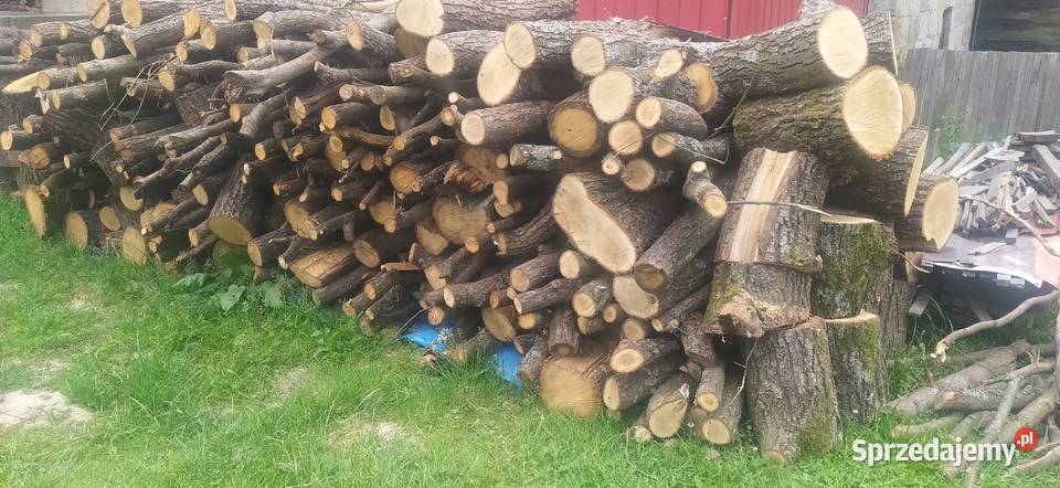 Drzewo kieszeni Frysztak