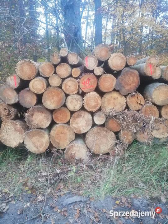 Drewno opałowe SUCHE wałki dębowe sosnowe wielkopolskie Sompolno