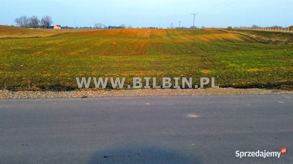 Działka Aleksandrowo 8527m2 kanalizacja