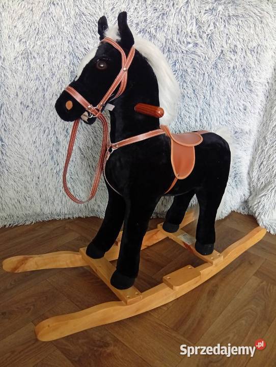 Konik na biegunach Bronisławka