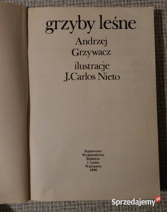 Grzyby leśne Grzywacz Carlos Nieto wysyłka mazowieckie Warszawa