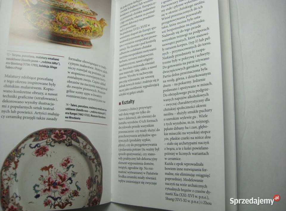 Barwy i kształty CERAMIKA CHIŃSKA Osięciny sprzedam