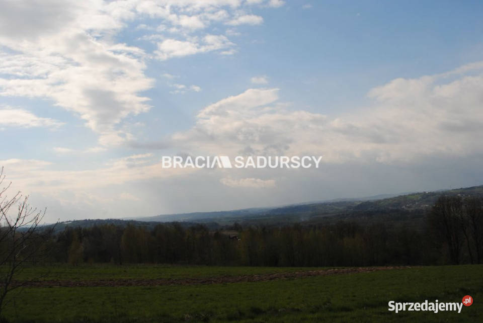 sprzedaży działki Gruszowiec 5500m2 sprzedam