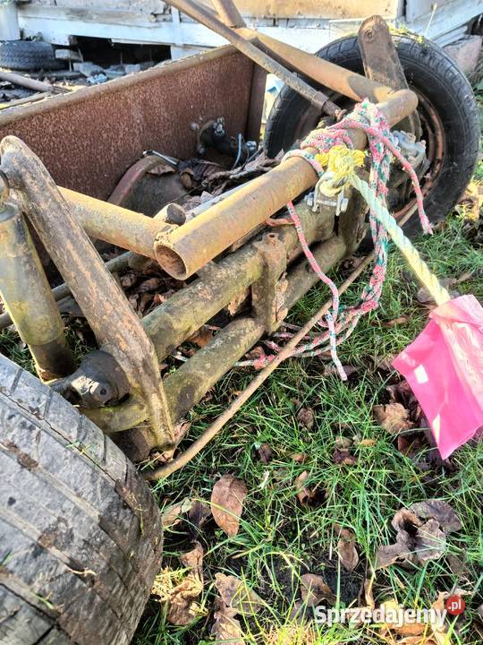 Baggy garbus dolnośląskie Wrocław