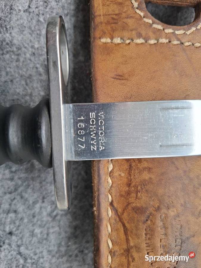 Bagnet Szwajcarski SIG 57 Victoria Schwyz z
