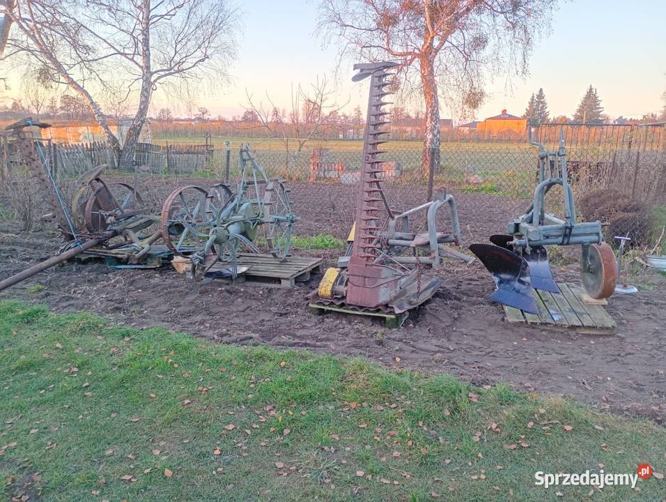 PługkopaczkaOsa Brzozówek