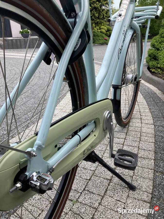 Gazelle Miss Grace Kraśnik