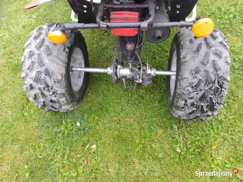 Sprzedamzamienię Bashan 250 Sokoły