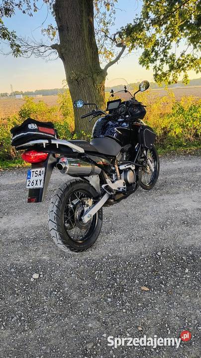 Honda Transalp xl650 niski przebieg zarejestrowany w Polsce Tarnów sprzedam